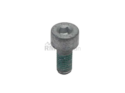BMW Bolt Genuine BMW 21207548052