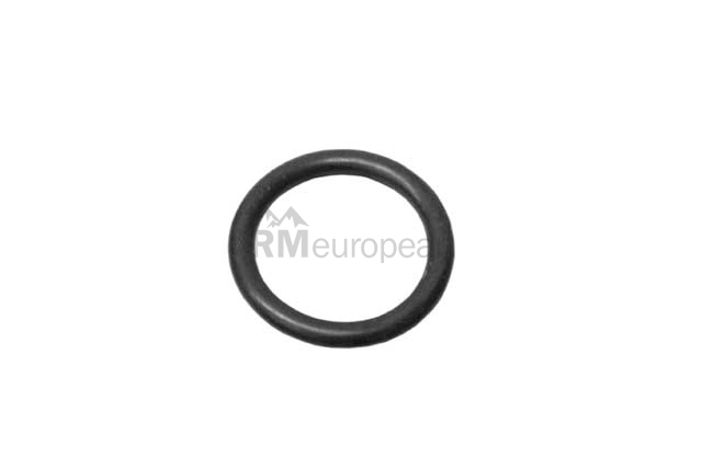 VW-Audi Water Pipe Seal Victor Reinz N90560701