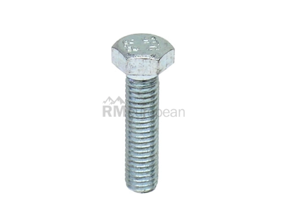 Hex Head Bolt Auveco 14404