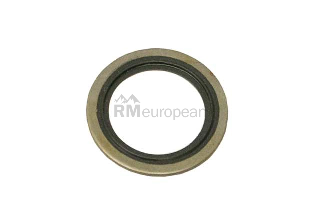 BMW Gasket Ring Genuine BMW 17221723803