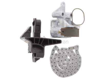 BMW Timing Chain Kit Iwis 091919120