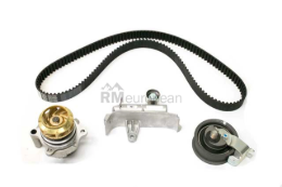 VW-Audi Timing Belt Kit Hepu 216088004