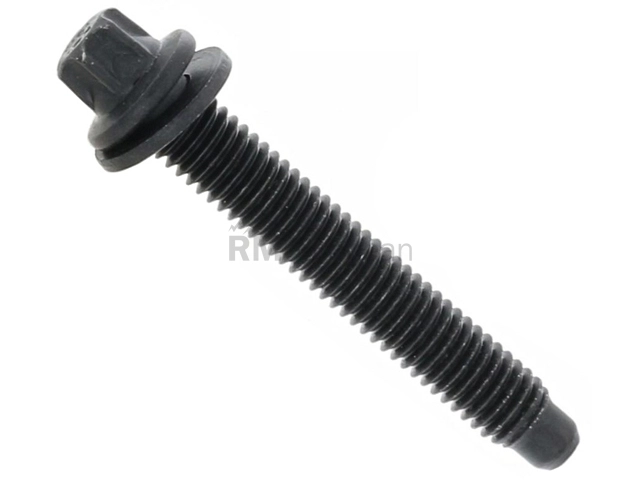 Fuel Rail Screw Genuine BMW/Mini 13538661716