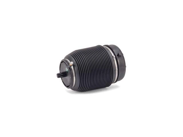 VW-Audi Suspension Air Bag Arnott Industries A2960