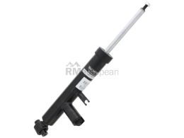BMW Shock Absorber Monroe 37126865541