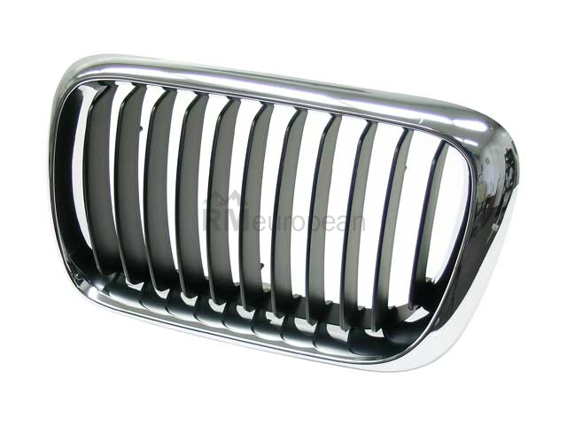 BMW Grille Genuine BMW 51138195151