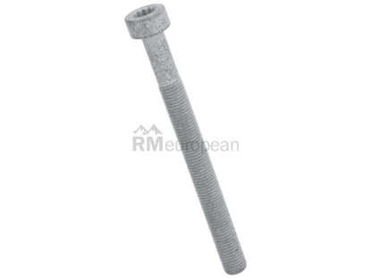 Porsche Brake Caliper Bolt Genuine Porsche N91252201