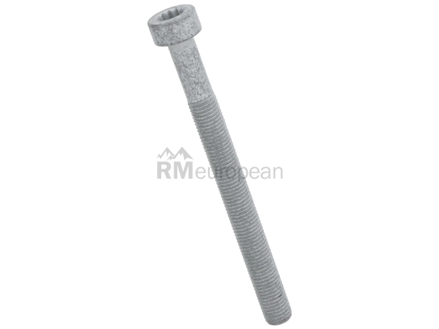 Porsche Brake Caliper Bolt Genuine Porsche N91252201