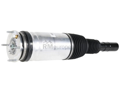 Land Rover Strut BWI LR087092