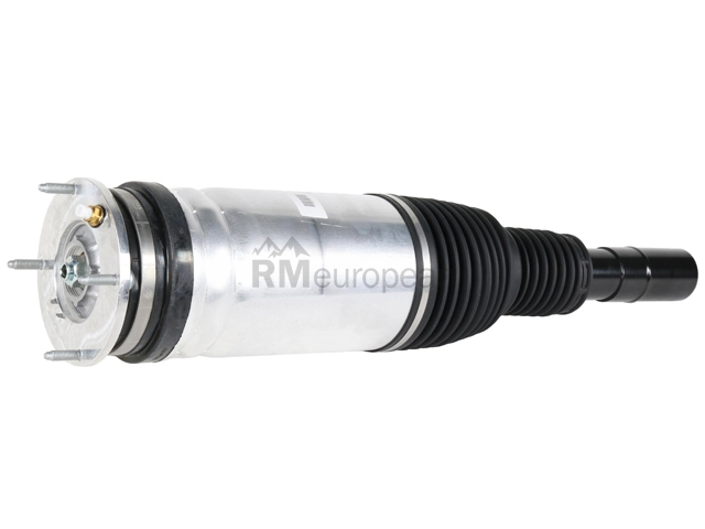 Land Rover Strut BWI LR087092