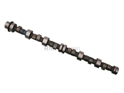 BMW Camshaft febi bilstein 11311716138