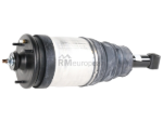 Land Rover Shock Absorber BWI RPD000309