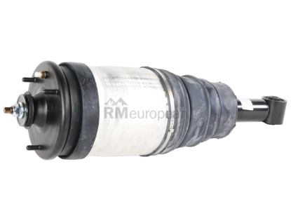 Land Rover Shock Absorber BWI RPD000309