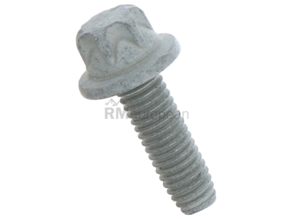 Mercedes Serrated Head Bolt Genuine Mercedes 000000001116