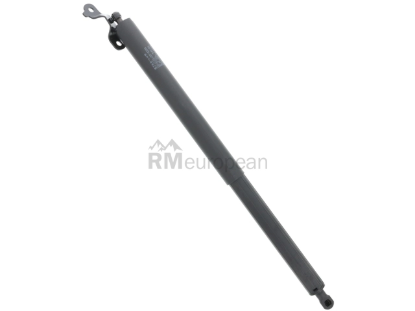Hatch Shock Stabilus 019027