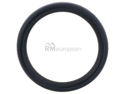 Land Rover Heater Pipe O-Ring Britpart ERR6434
