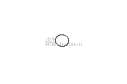 BMW O-Ring Genuine BMW 11411401769