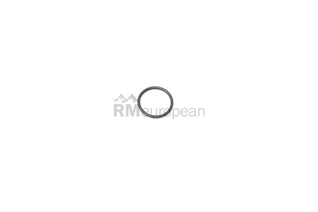 BMW O-Ring Genuine BMW 11411401769