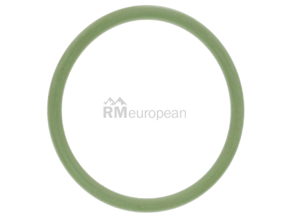 BMW O-Ring Genuine BMW 11127605329