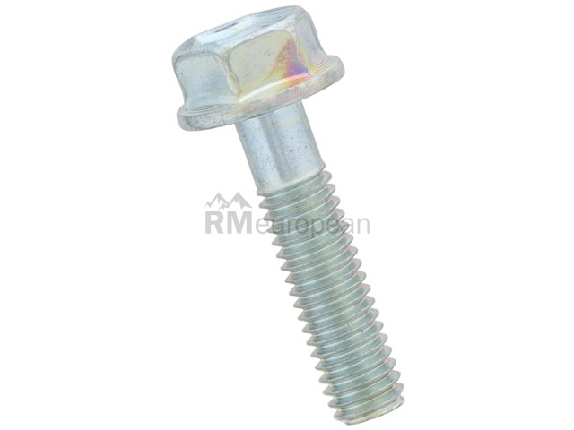 BMW Transmission Pan Bolt Genuine BMW 24148699902