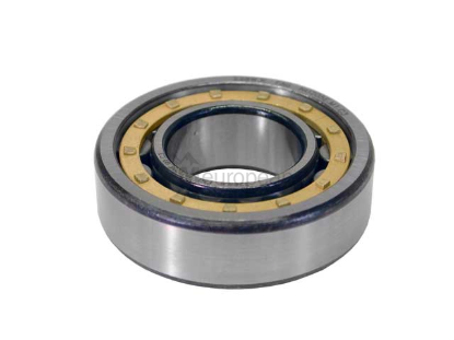 Porsche Main Shaft Bearing Schaeffler 64420207