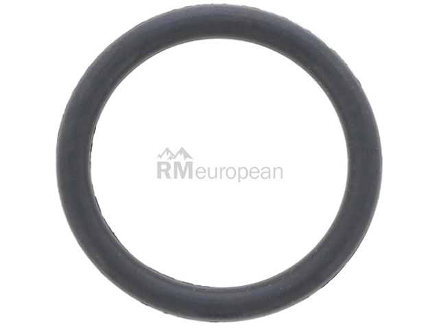 Porsche Chain Tensioner O-Ring Victor Reinz 99970169040