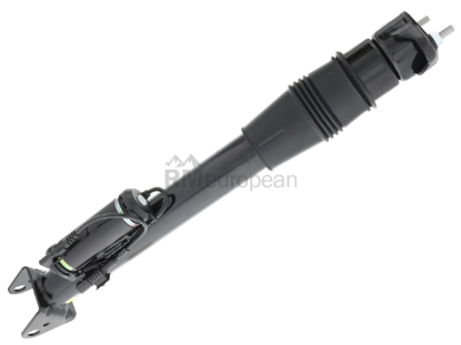 Mercedes Shock Absorber Arnott Industries 1663200930