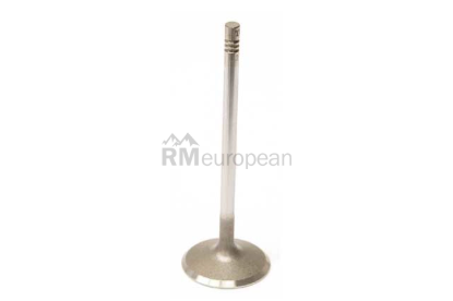Mercedes Intake Valve TRW 2720530801