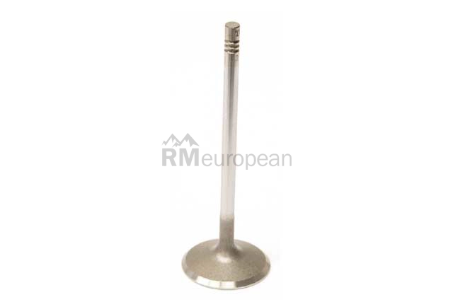 Mercedes Intake Valve TRW 2720530801