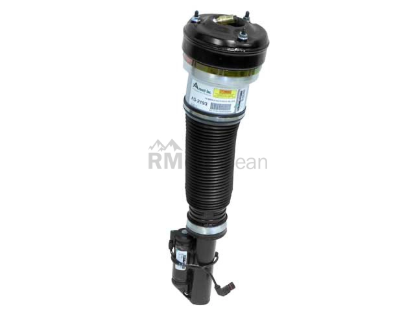 Mercedes Strut Arnott Industries 2203202438