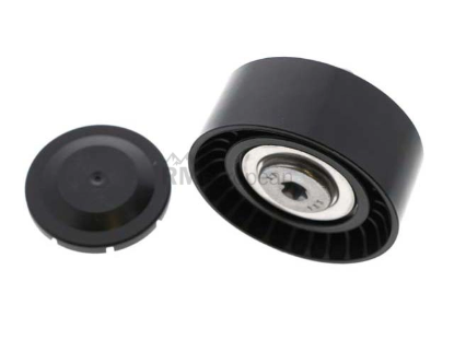 Deflection Pulley INA 11287649371