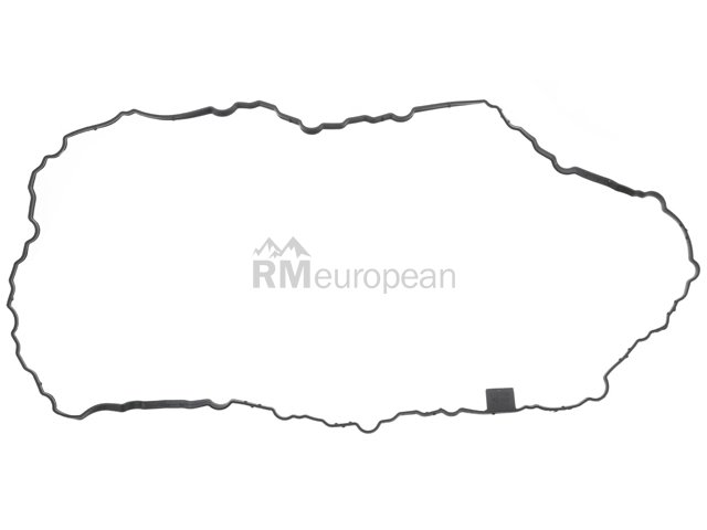 VW-Audi Oil Pan Gasket Victor Reinz 06K103649J
