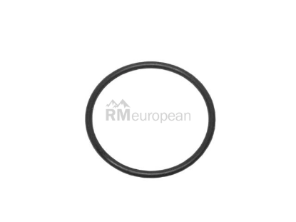 Fuel Pump O-Ring Victor Reinz WHT005184