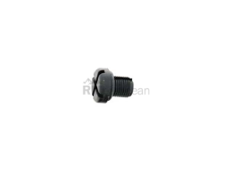 Bleeder Screw Rein Automotive 17111712788