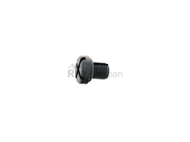 Bleeder Screw Rein Automotive 17111712788