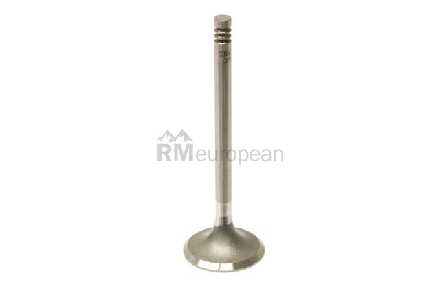 VW-Audi Intake Valve TRW 025109601C