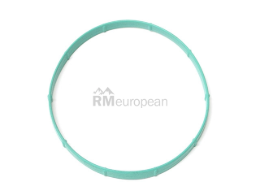Jaguar Intake Manifold Gasket Eurospare AJ87991