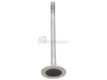 Saab Exhaust Valve TRW 12657044
