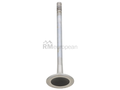 Saab Exhaust Valve TRW 12657044