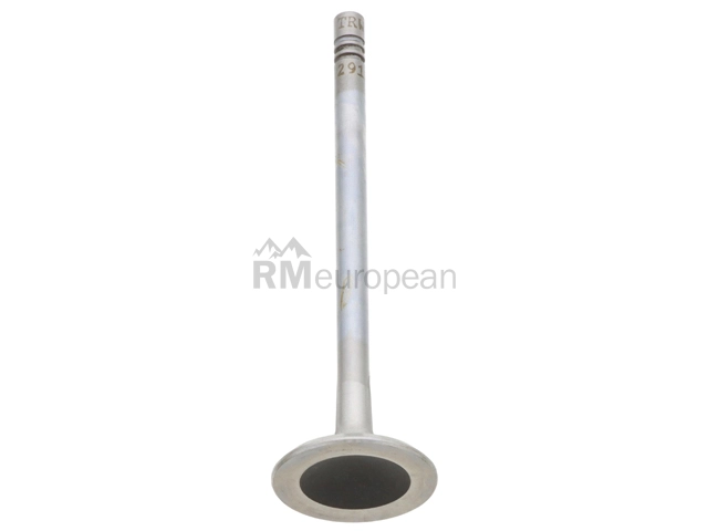 Saab Exhaust Valve TRW 12657044