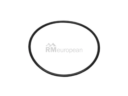 Actuator O-Ring Victor Reinz 407676620