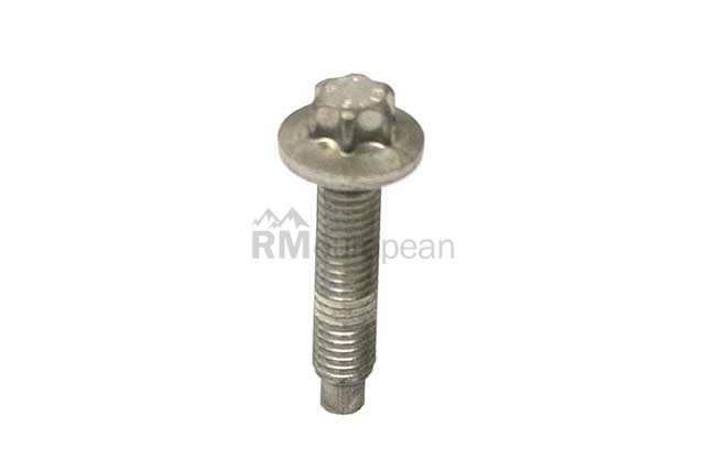 BMW Engine Oil Pan Bolt Genuine BMW 11137559537