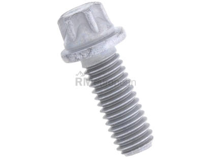 BMW Torx Head Screw Genuine BMW 07129902813