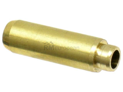BMW Valve Guide Canyon 11121280523