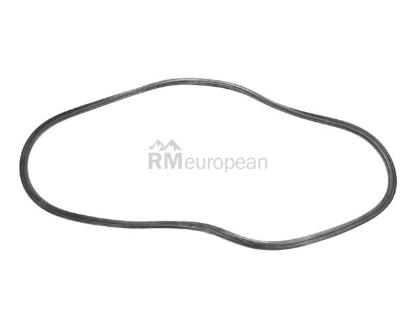 Porsche Windshield Seal O.E.M. 64454190107