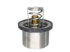 Porsche Thermostat Rein Automotive 94810612501