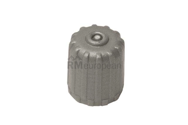 Saab Wheel Valve Stem Cap Hofmann 9193183
