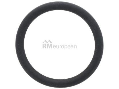 Saab Oil Level Sensor O-Ring Genuine Saab 7970361