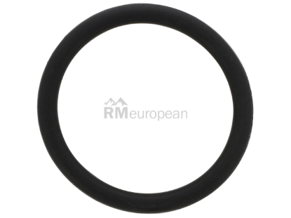 VW-Audi Turbo Drain O-Ring Genuine VW/Audi N90715601