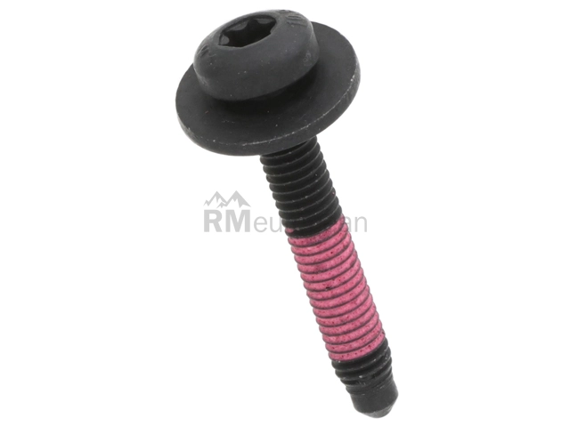 Mini Screw Genuine Mini 07119908719